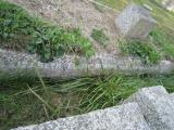 image of grave number 580092
